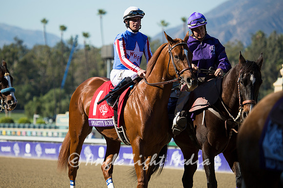 Smarty's Echo in the Post Parade