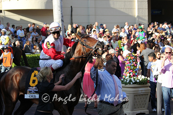 Orb jerking his head up