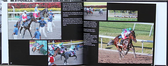 Inside the 2013 Florida Derby Book