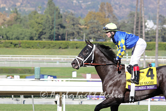 #4 Shanghai Bobby to the Winners Circle R8 GG BC Juvenile