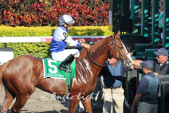 Shackleford loads in
