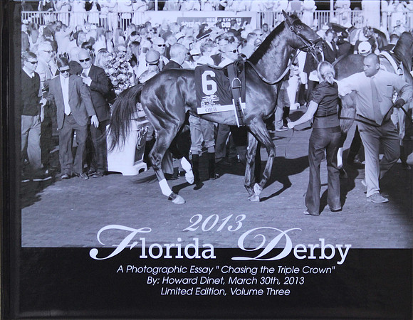 2013 Florida Derby Book Cover