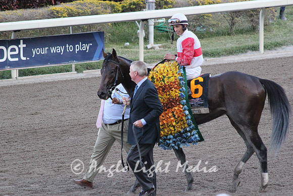 The Winner - Orb