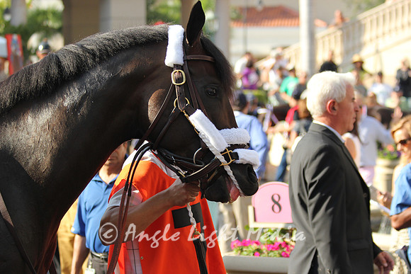 Dialed In and Nick Zito