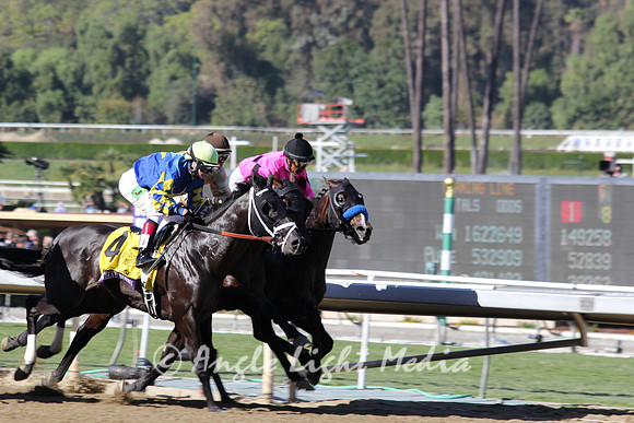 #4 Shanghai Bobby, & #1 Title Contender Hot R8 GG BC Juvenile