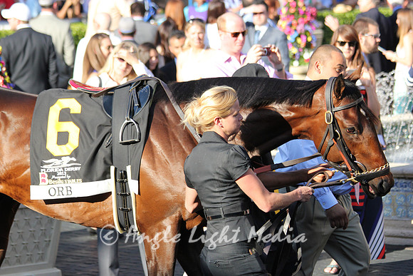 Orb pushing his head