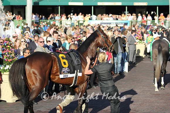 Orb showing off his muscles.