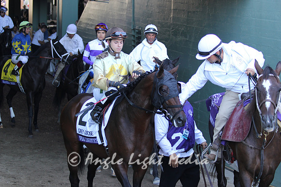 #2 Speak Logistics Tunnel R8 GG BC Juvenile