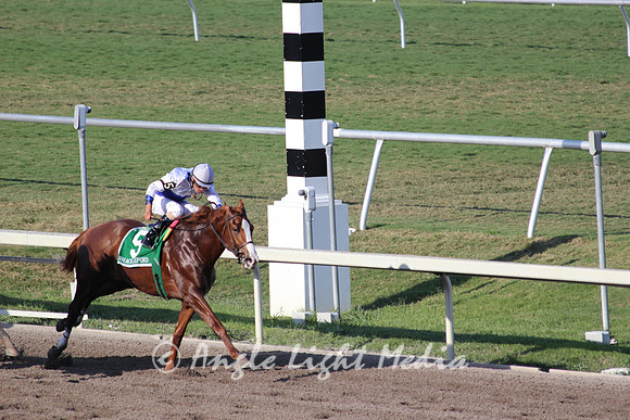 Shackleford driving down the stretch