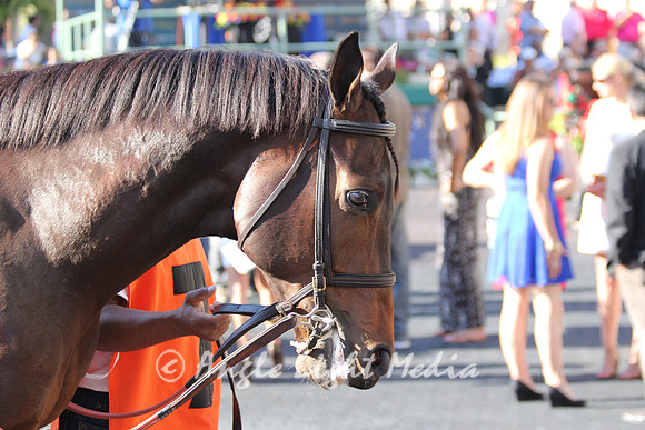 #7 Silver Max before the Race 11 the Appleton