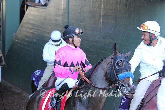 #1 Title Contender Tunnel R8 GG BC Juvenile