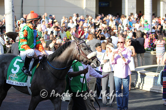 #5 Frac Daddy in the Walking Ring FD13