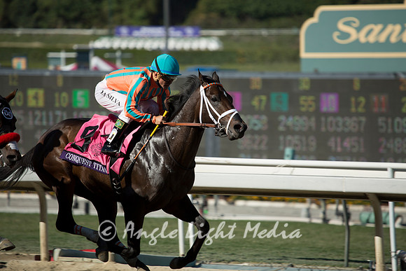 Conquest Titan on the lead