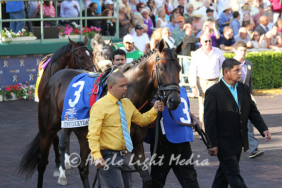 Itsmyluckyday Walking Ring FD13