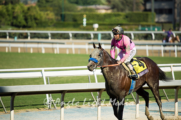 Back the the Winner's Circle!